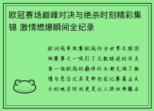 欧冠赛场巅峰对决与绝杀时刻精彩集锦 激情燃爆瞬间全纪录