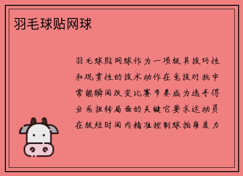 羽毛球贴网球
